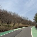 노을공원2 | 서울 강아지 산책 코스 추천 노을공원 후기