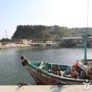 초도콘도 민박 이미지