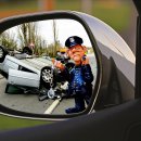 서부행정사사무소 이미지