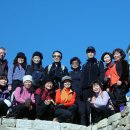 숲속의 통나무집 이미지