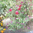 나들이쉼터 이미지