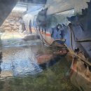 아라마루 이미지