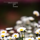 아름다운정원 - 성남시 중원구 도촌로8번길 20 | 아름다운정원