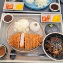 카츠탐 이미지