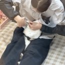 그루머스 스튜디오 이미지