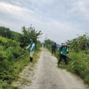 제방도로 이미지