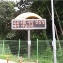 재난문자전광판 이미지