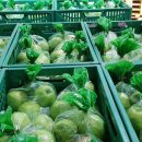 문경거점산지유통센터 이미지