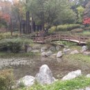 불광천변 이미지