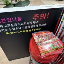 양선생마라탕