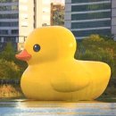 오리아재 이미지