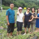 선돌농장 이미지