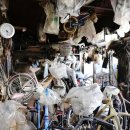 선경자전거 이미지