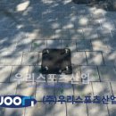 용인신촌중학교