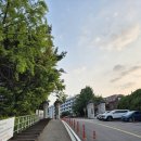 동국대학교 경찰사법대학원 | 동국대학교 경찰사법대학원 범죄심리학과 합격