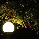 녹원숯불갈비 이미지