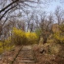 개나리어린이공원 이미지