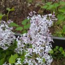 하안노인종합복지관 | 하안 노인종합 복지관 저속 노화 수업