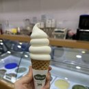 나뚜루가산디지털점 이미지