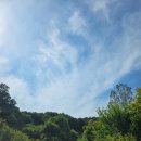 서린춘천 | 춘천 / 애견 독채 펜션 서린 춘천 글램독 제3채 후기