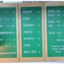 돼지벅스