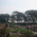 상주 조공제 이미지