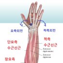 파인드핏 이미지