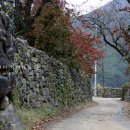 돌담추억 이미지