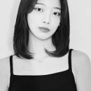 앨리헤어 이미지