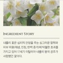 율리아엘 | <앰플추천> 성유리앰플로 유명한 '유리드(URIID)네롤리앰플스틱' 사용후기!