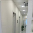 더고은피부 이미지