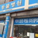 동부동물병원 네이버블로그