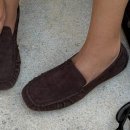 크롭체크코리아 이미지