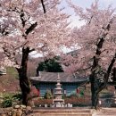 지산초교 이미지