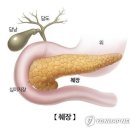 핑크팬더즈수원 이미지