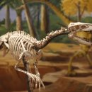 지질박물관 이미지