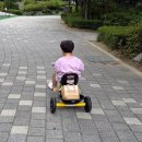 타자바이크 | [내돈내산] 잘 타면 좋겠다 했는데, 매일 타서 문제입니다｜ 파파스토이 알파카 주니어 바이크 J3 후기