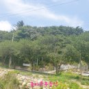 평산농장 이미지