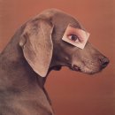 재미있는 상상 이미지