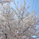 우신정육점 이미지