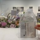 센시볼 | 광주 핸드메이드 은반지 센시볼 레인보우 문스톤 반지 내돈내산 후기