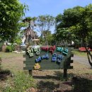 비체올린 이미지