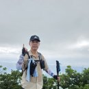 260708-061 영천 팔공산 동봉 1,167m 이미지