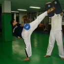 프로체육관 이미지