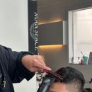 무거동 강아지 미용실 | 남자머리,다운펌,가일컷,포마드 잘하는곳 [울산/남구] 맨스페이스 울산무거점