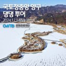 댕댕쿠킹 이미지