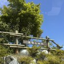 초정스테이 이미지