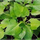 취 - 성북구 장위로 35 | 취