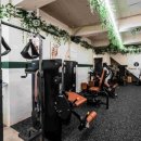 포레스트 짐 이미지