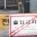 양영석농장 이미지